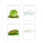 Flash Cards for Fun Learning - Vegetables (10 Cards) | Flash Cards for Kids Age 2 to 5 Years - Image 4