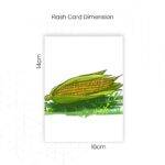 Flash Cards for Fun Learning - Vegetables (10 Cards) | Flash Cards for Kids Age 2 to 5 Years - Image 5