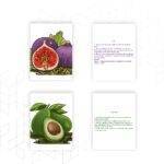 Flash Cards for Fun Learning - Fruits (10 Cards) | Flash Cards for Kids Age 2 to 5 Years - Image 4